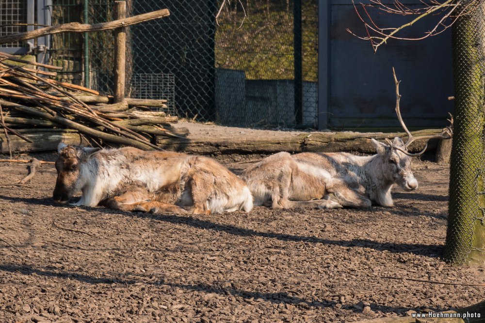 ZOOM-Erlebniswelt_022