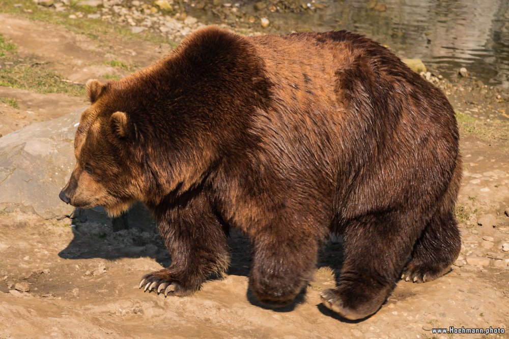 ZOOM-Erlebniswelt_033