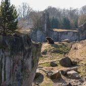 ZOOM-Erlebniswelt_042