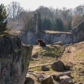 ZOOM-Erlebniswelt_043