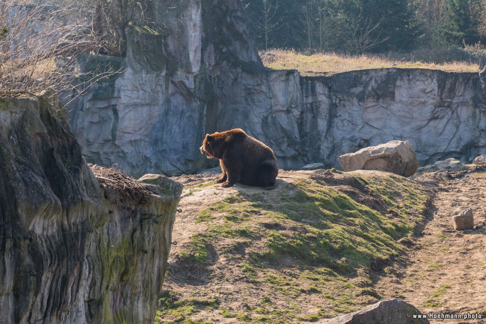 ZOOM-Erlebniswelt_044