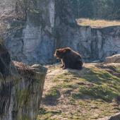 ZOOM-Erlebniswelt_044