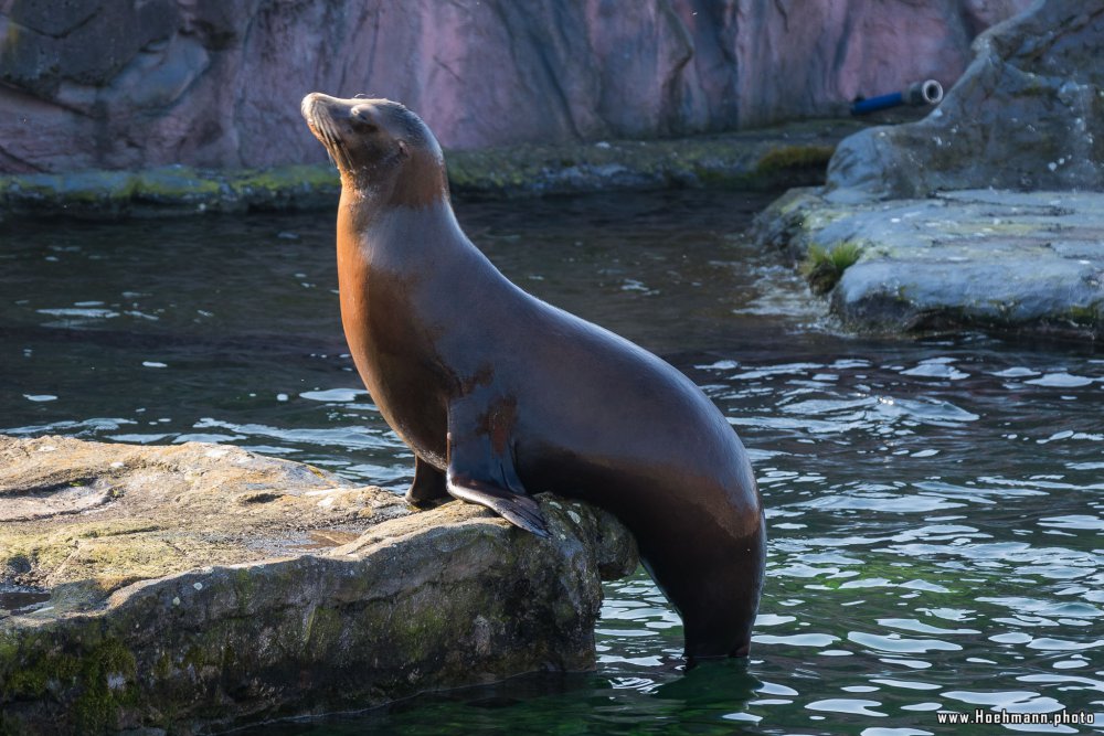 ZOOM-Erlebniswelt_051