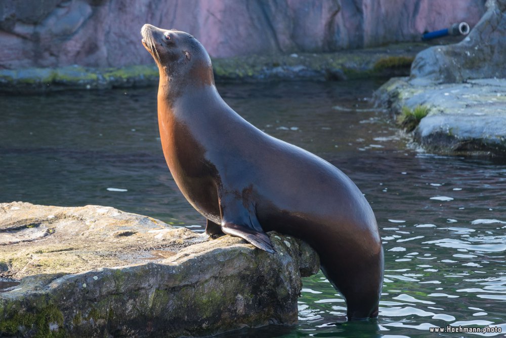 ZOOM-Erlebniswelt_054