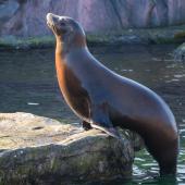 ZOOM-Erlebniswelt_054