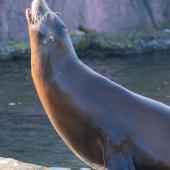 ZOOM-Erlebniswelt_056