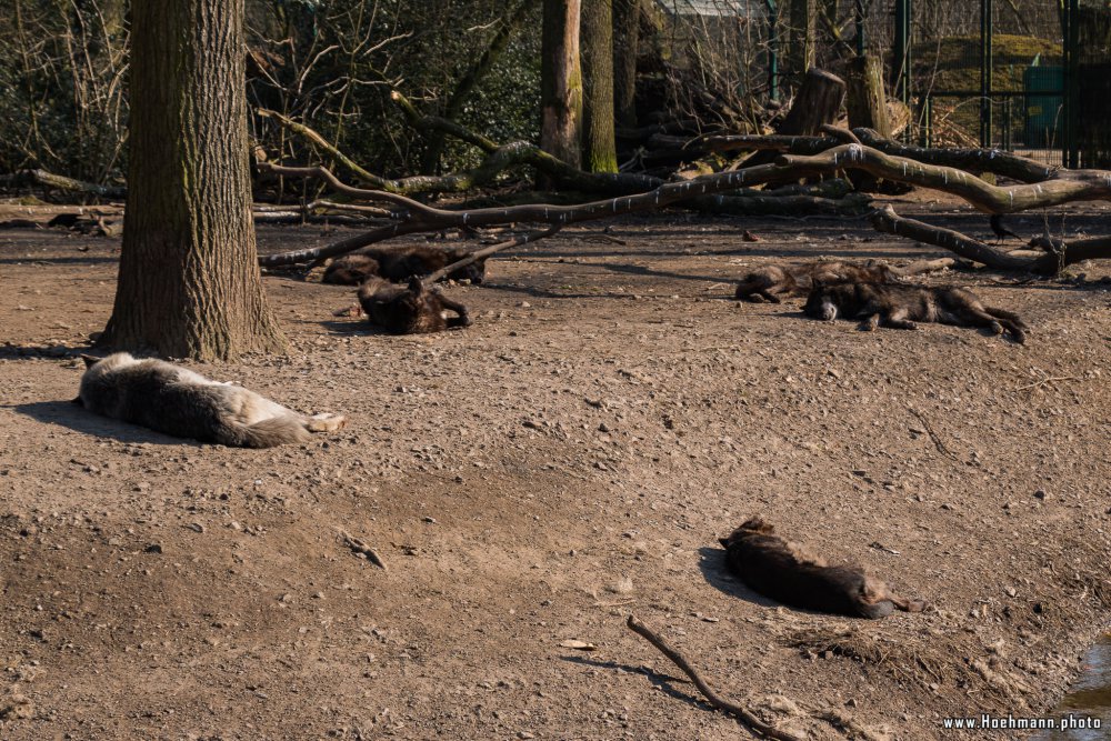 ZOOM-Erlebniswelt_065