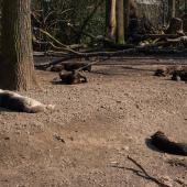 ZOOM-Erlebniswelt_065