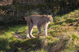 ZOOM Erlebniswelt 17.03.2016