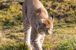 ZOOM Erlebniswelt 17.03.2016