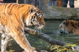 ZOOM Erlebniswelt 17.03.2016