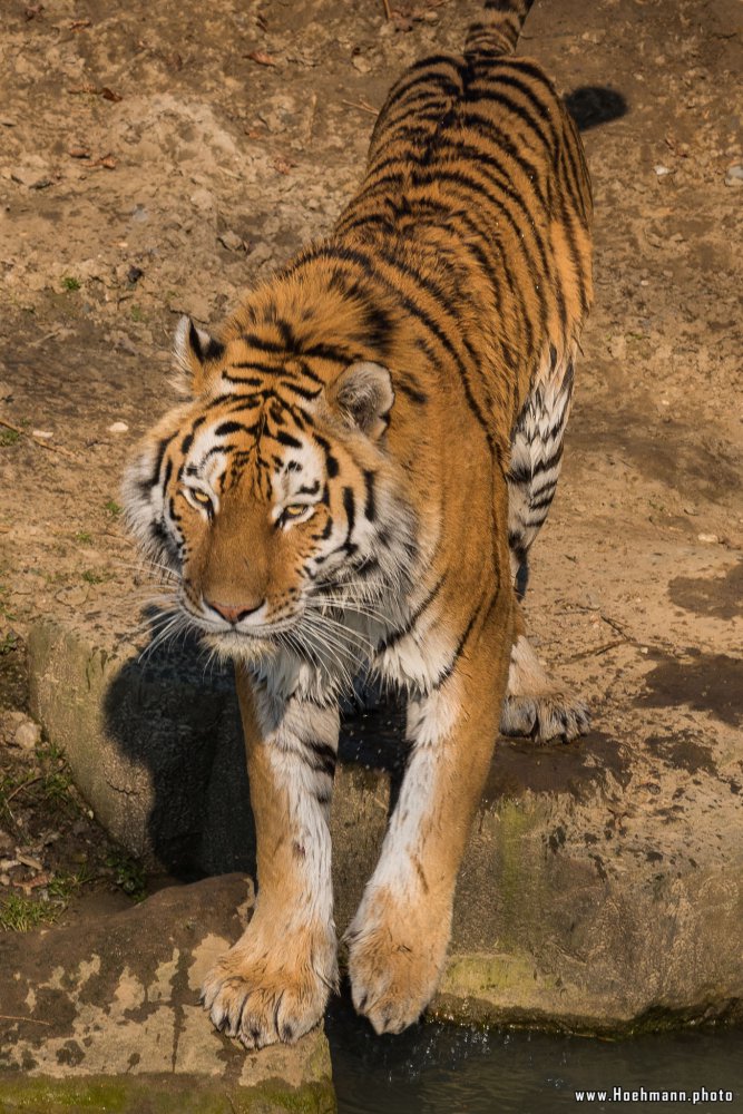 ZOOM-Erlebniswelt_079