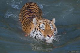 ZOOM Erlebniswelt 17.03.2016