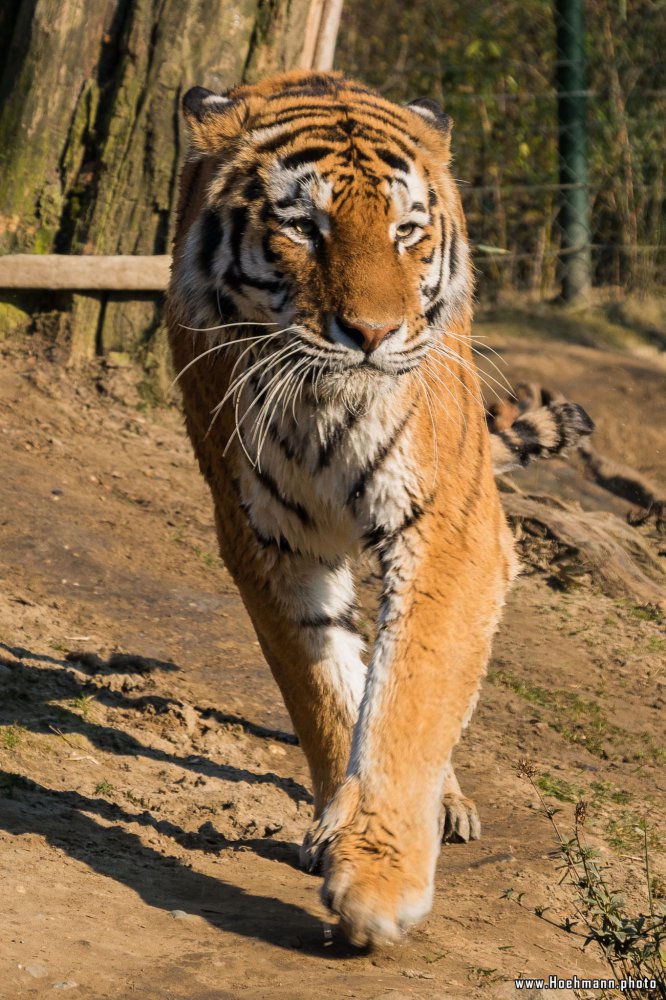 ZOOM-Erlebniswelt_097