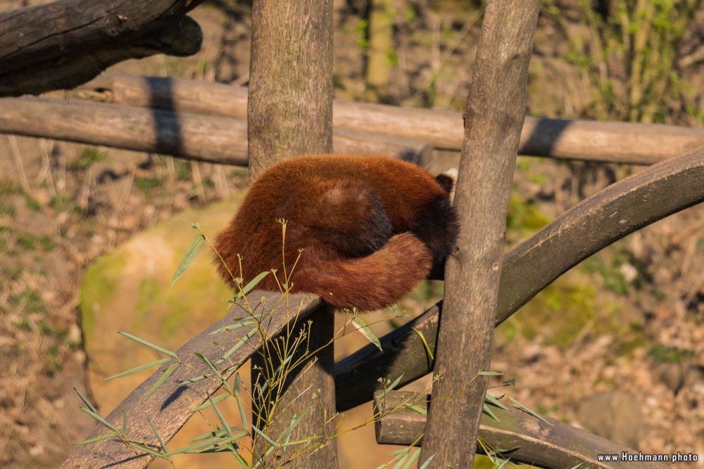 ZOOM-Erlebniswelt_099