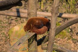 ZOOM Erlebniswelt 17.03.2016