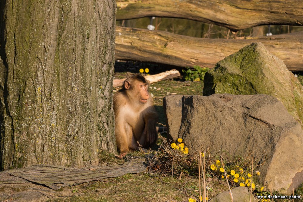 ZOOM-Erlebniswelt_106