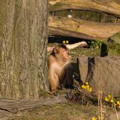 ZOOM-Erlebniswelt_106