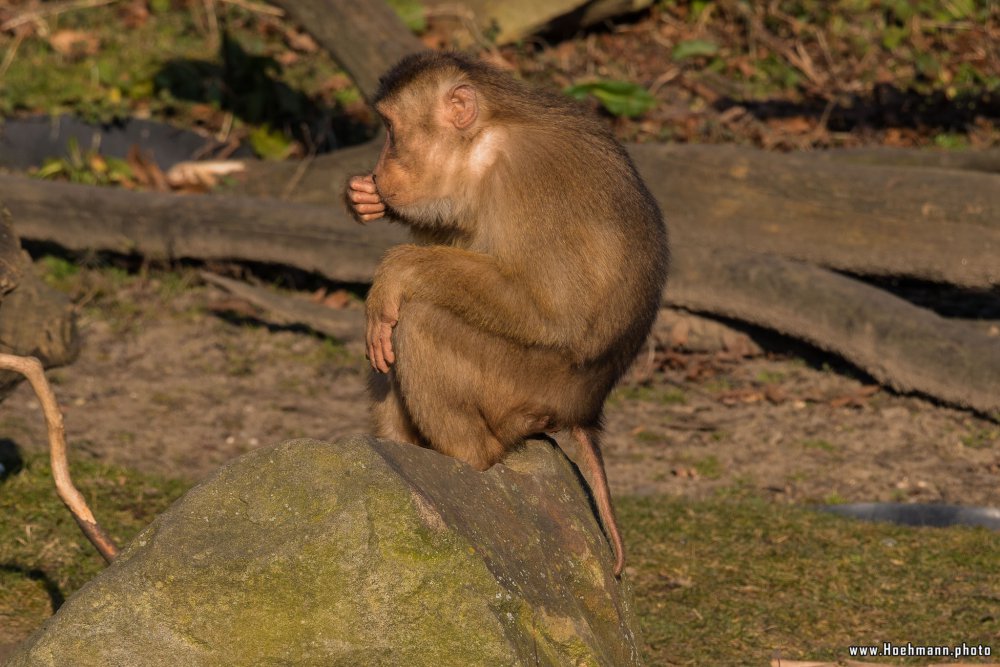 ZOOM-Erlebniswelt_109