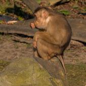 ZOOM-Erlebniswelt_109