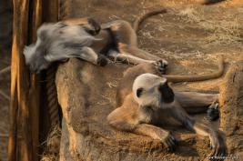 ZOOM Erlebniswelt 17.03.2016