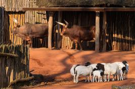 ZOOM Erlebniswelt 17.03.2016