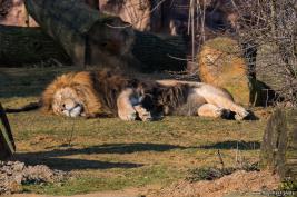 ZOOM Erlebniswelt 17.03.2016