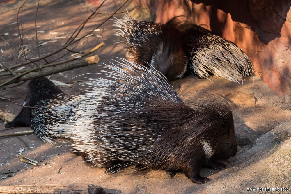 ZOOM-Erlebniswelt_140