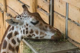 ZOOM Erlebniswelt 17.03.2016