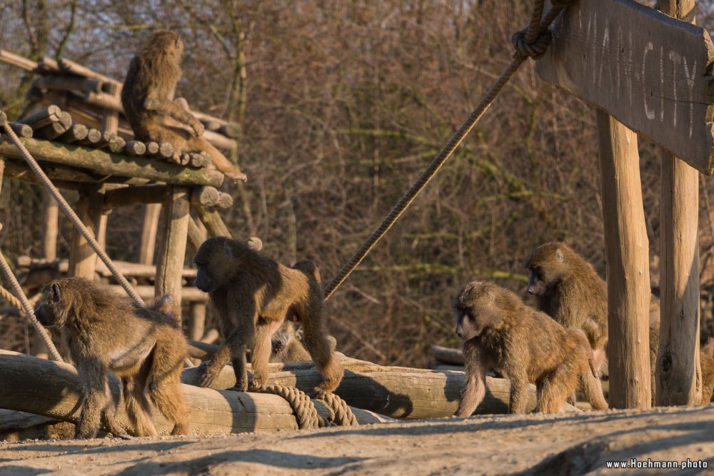 ZOOM-Erlebniswelt_148